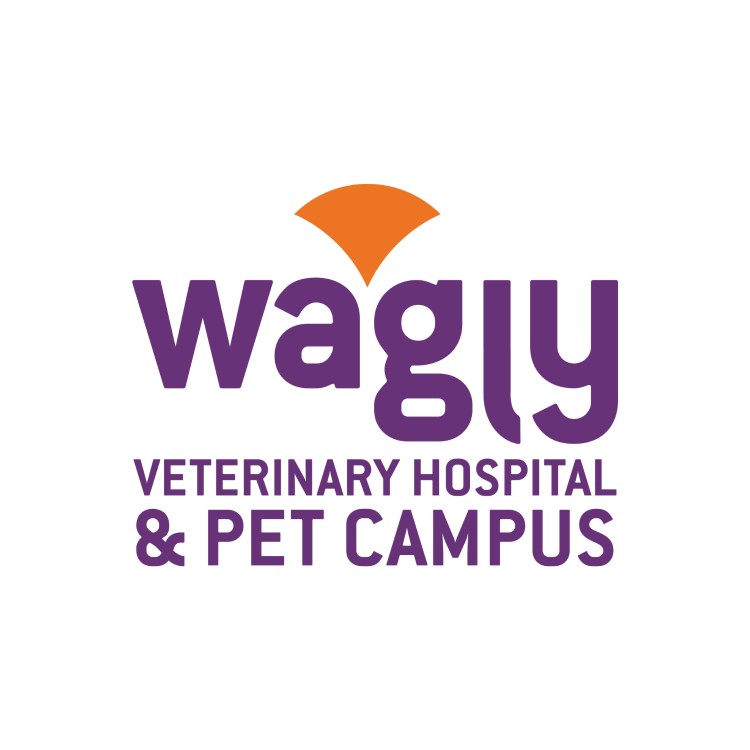 Image of Wagly Veterinary Hospital & Pet Campus | Bellevue service in Bellevue, Nebraska, United States Image of Wagly Veterinary Hospital & Pet Campus | Bellevue service in Bellevue, Nebraska, United States