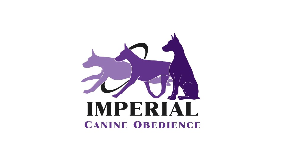 Image of Imperial Canine Obedience - Des Moines service in Des Moines, Iowa, United States Image of Imperial Canine Obedience - Des Moines service in Des Moines, Iowa, United States