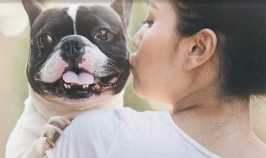 Image of Passionately Pets service in Alexandria, Louisiana, United States Image of Passionately Pets service in Alexandria, Louisiana, United States