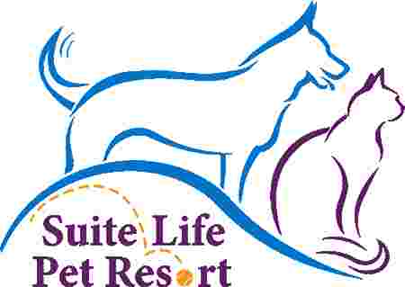 Image of Suite Life Pet Resort service in Oak Ridge, Florida, United States