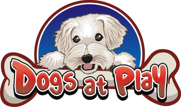 Image of Dogs At Play - Newmarket service in Newmarket, Ontario, Canada Image of Dogs At Play - Newmarket service in Newmarket, Ontario, Canada