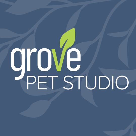 Image of Grove Pet Studio service in Nashville, Indiana, United States