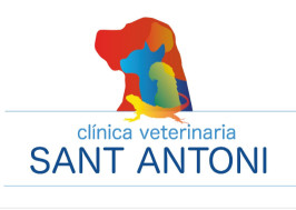 Image of Clínica Veterinària Sant Antoni service in Castelló de la Plana, Valencian Community, Spain