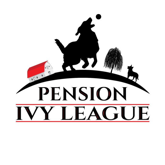 Image of Pension Ivy league Pet Boarding service in Rigaud, Quebec, Canada Image of Pension Ivy league Pet Boarding service in Rigaud, Quebec, Canada