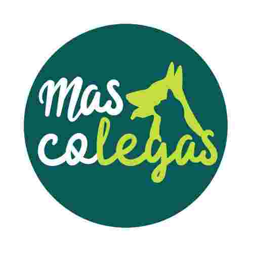 Image of MASCOLEGAS service in San José de la Rinconada, Andalucía, Spain