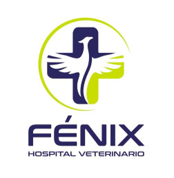 Image of Fénix Hospital Veterinario 24H - Alicante service in Elx, Alacant, Spain