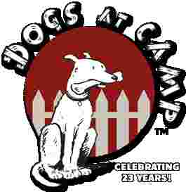 Image of Dogs at Camp GTA - 100 Acres - Hiking & Swimming! service in Durham, Ontario, Canada Image of Dogs at Camp GTA - 100 Acres - Hiking & Swimming! service in Durham, Ontario, Canada