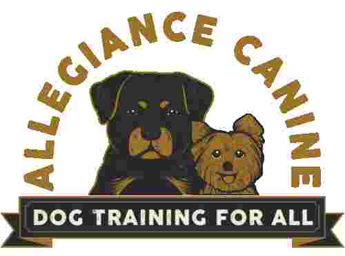 Image of Allegiance Canine service in Collierville, Tennessee, United States