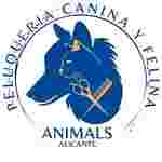 Image of Animals Peluquería Canina Y Felina en Alicante service in Alicante (Alacant), Comunidad Valenciana, Spain