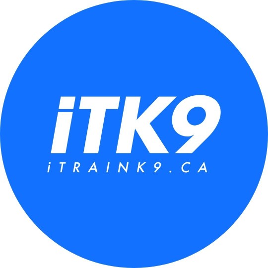 Image of iTrainK9 Dog Training service in Waterford, Ontario, Canada Image of iTrainK9 Dog Training service in Waterford, Ontario, Canada