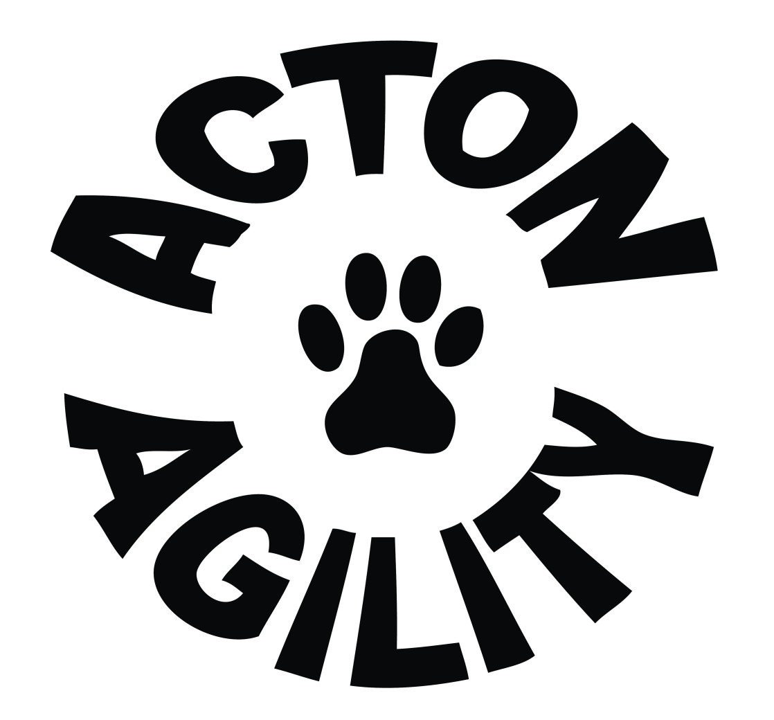 Image of ActOn Agility service in Hamilton, Ontario, Canada