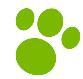 Image of Tiendanimal - Burjassot service in Burjassot, Valencia, Spain