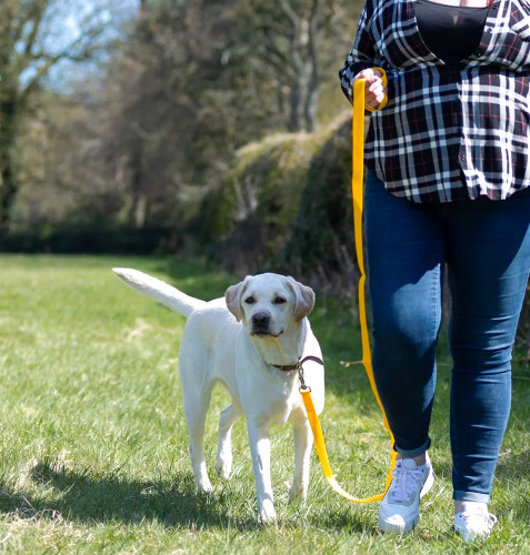 Image of Maximum Pet Products service in Leeds, England, United Kingdom