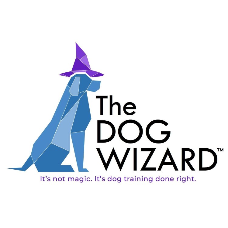 Image of The Dog Wizard - Tampa service in Tampa, Florida, United States Image of The Dog Wizard - Tampa service in Tampa, Florida, United States
