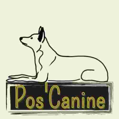 Image of Pos'Canine - Éducateur comportementaliste canin service in Labastide-Saint-Sernin, Occitanie, France
