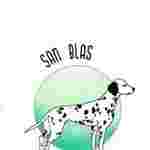 Image of Clínica Veterinaria San Blas service in Alicante (Alacant), Comunidad Valenciana, Spain