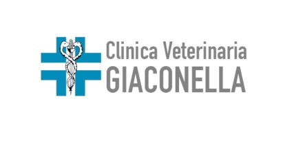 Image of Clinica Veterinaria Giaconella service in Roma, Lazio, Italy Image of Clinica Veterinaria Giaconella service in Roma, Lazio, Italy