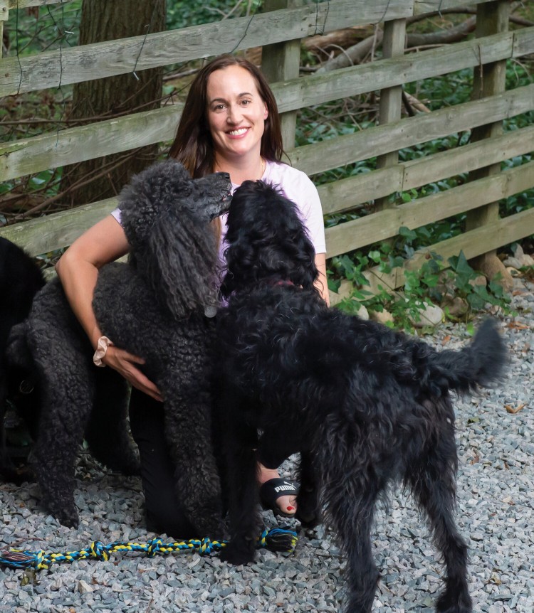 Image of Calling all paws service in Norfolk County, Massachusetts, United States