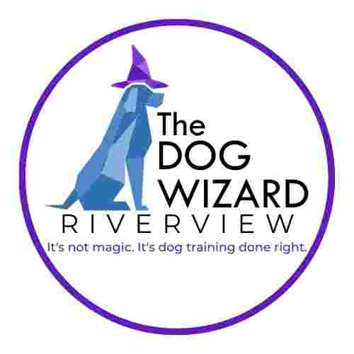 Image of The Dog Wizard - Riverview service in Brandon, Florida, United States Image of The Dog Wizard - Riverview service in Brandon, Florida, United States
