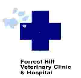 Image of Forrest Hill Veterinary Clinic & Hospital service in Auckland, Auckland, New Zealand