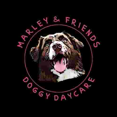 Image of Marley and Friends Doggy Daycare service in Moncton, New Brunswick, Canada Image of Marley and Friends Doggy Daycare service in Moncton, New Brunswick, Canada
