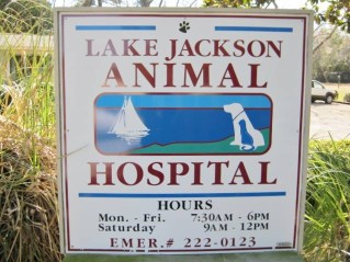 Image of Lake Jackson Animal Hospital service in Tallahassee, Florida, United States Image of Lake Jackson Animal Hospital service in Tallahassee, Florida, United States