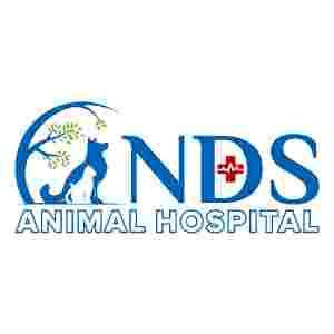 Image of NDS Animal Hospital - Potranco Road service in San Antonio, Texas, United States