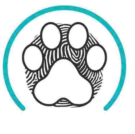 Image of Avenida del Puerto 200, Clínica Veterinaria service in Valencia, Valencia, Spain
