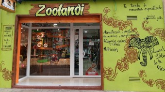Image of zoolandi service in Castelló de la Plana, Valencian Community, Spain
