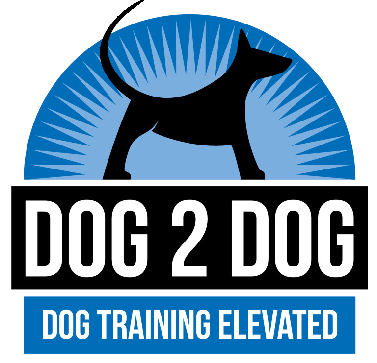 Image of Dog 2 Dog Training service in Salt Lake City, Utah, United States
