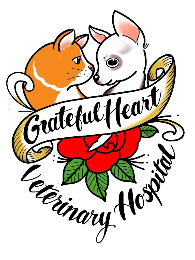Image of Grateful Heart Veterinary Hospital service in Portland, Connecticut, United States Image of Grateful Heart Veterinary Hospital service in Portland, Connecticut, United States