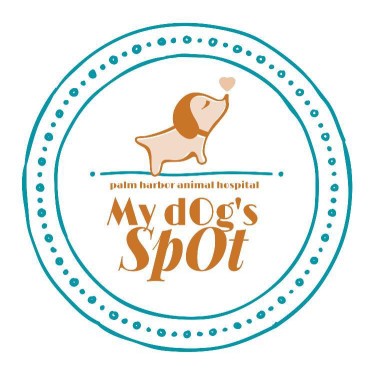Image of My Dog’s Spot service in Palm Harbor, Florida, United States Image of My Dog’s Spot service in Palm Harbor, Florida, United States