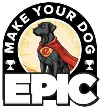 Image of Make Your Dog Epic | Edmond Dog Training service in Edmond, Oklahoma, United States