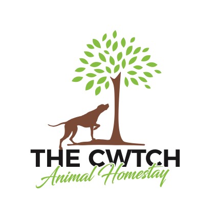 Image of The Cwtch Animal Homestay service in Cwmbran Central, Wales, United Kingdom