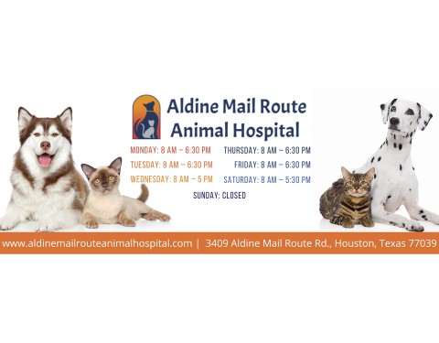 Image of Aldine Mail Route Animal Hospital service in Houston, Minnesota, United States
