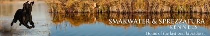 Image of Smakwater & Sprezzatura Kennel service in Missoula, Montana, United States