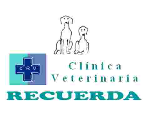 Image of Clínica Veterinaria Recuerda service in Granada, Granada, Spain
