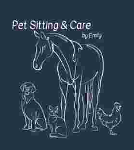 Image of Pet Sitting & Care by Emily, LLC service in Loveland, Colorado, United States