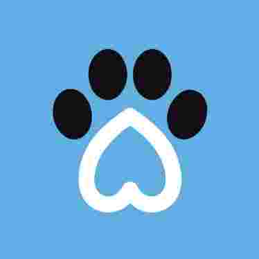 Image of Paws N Play SA Doggy Day Care & Dog Boarding service in Saint Agnes, South Australia, Australia
