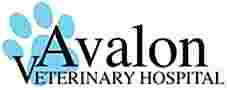 Image of Avalon Veterinary Hospital service in Pittsburgh, Pennsylvania, United States