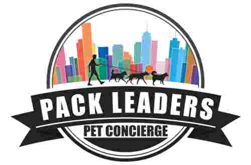 Image of Pack Leaders ATL service in Atlanta, Georgia, United States Image of Pack Leaders ATL service in Atlanta, Georgia, United States