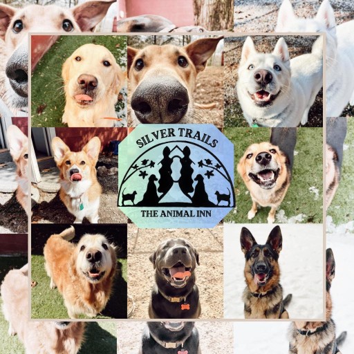 Image of Silver Trails Animal Inn service in Westbrook, Maine, United States