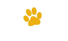 Image of Frolic Pet Services service in Des Moines, Iowa, United States Image of Frolic Pet Services service in Des Moines, Iowa, United States