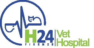 Image of Vet Hospital H24 Firenze service in Firenze, Firenze, Italy Image of Vet Hospital H24 Firenze service in Firenze, Firenze, Italy
