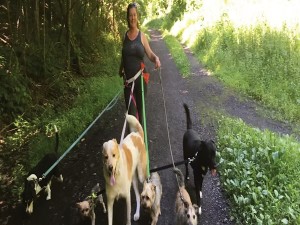 Image of Dawn's Dog Boarding & Pet Sitting service in Town of Olive, New York, United States Image of Dawn's Dog Boarding & Pet Sitting service in Town of Olive, New York, United States