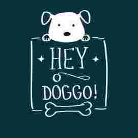 Image of hey doggo! service in Hamburg, Hamburg, Germany