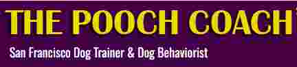 Image of The Pooch Coach service in San Francisco, California, United States