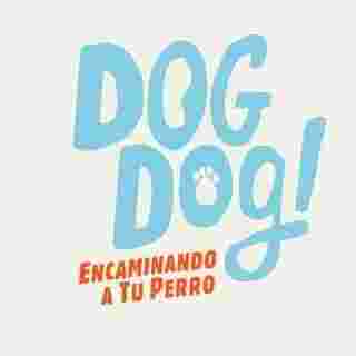 Image of Dog Dog! service in Guadalajara, Jalisco, Mexico