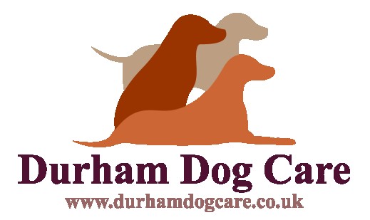 Image of Durham Dog Care service in Waldridge, England, United Kingdom