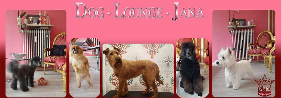 Image of "Dog-Lounge-Jana" Hundesalon- Hundefriseur- Dog Groomer service in Munchen, Bayern, Germany Image of "Dog-Lounge-Jana" Hundesalon- Hundefriseur- Dog Groomer service in Munchen, Bayern, Germany